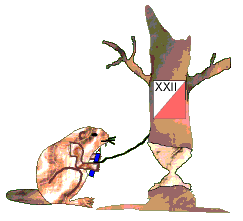Logo IMP