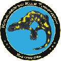 KKT Salamandra